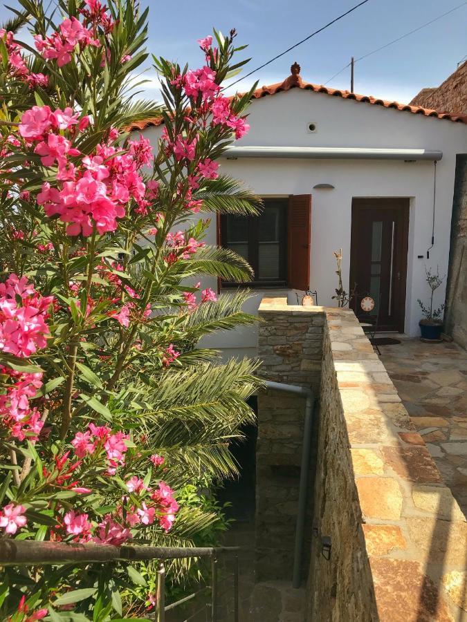 Astra-Ferienhaus Mit Grosser Dachterrasse Und Top-Ausstattung In Nas Armenistis  Zewnętrze zdjęcie